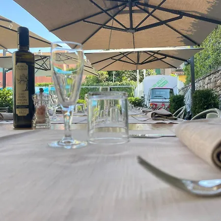 Western Anthurium 산토스테파노알마레