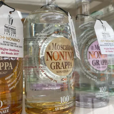 Western Anthurium Hotel