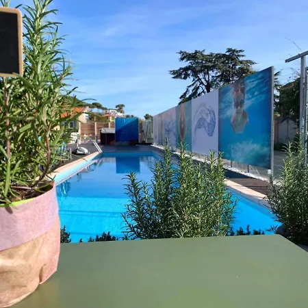 Western Anthurium Hotel