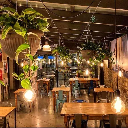 Western Anthurium 4*