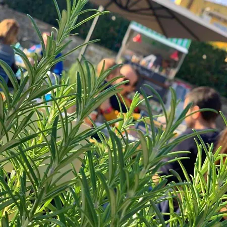 Hotel Western Anthurium 4*