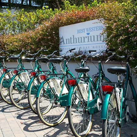 Western Anthurium Santo Stefano al Mare