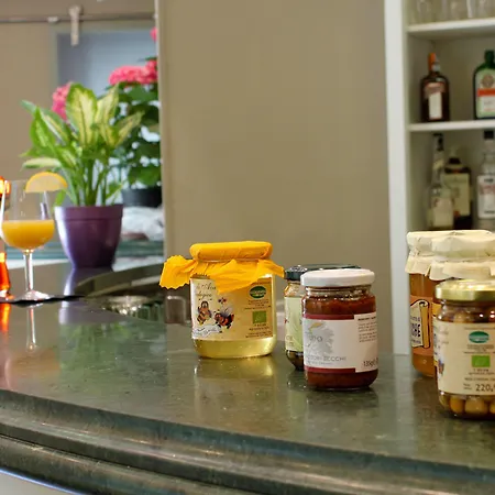 Western Anthurium Hotel Santo Stefano al Mare