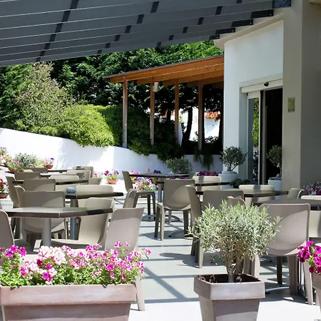 Western Anthurium 4*