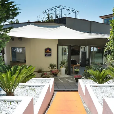 Western Anthurium Hotel Santo Stefano al Mare