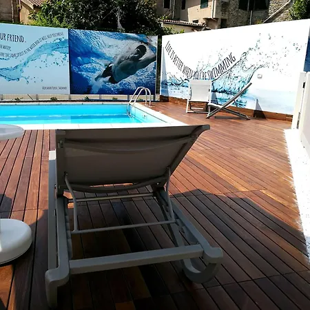 Western Anthurium Santo Stefano al Mare