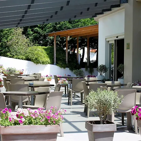 Hotel Western Anthurium