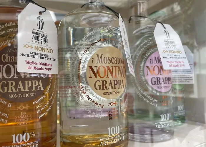 Western Anthurium Hotel