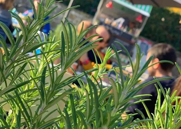 Hotel Western Anthurium 4*