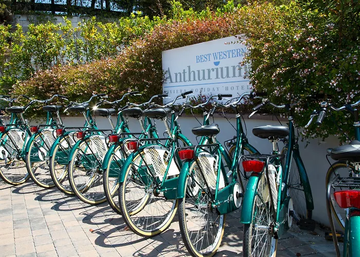 Western Anthurium Santo Stefano al Mare