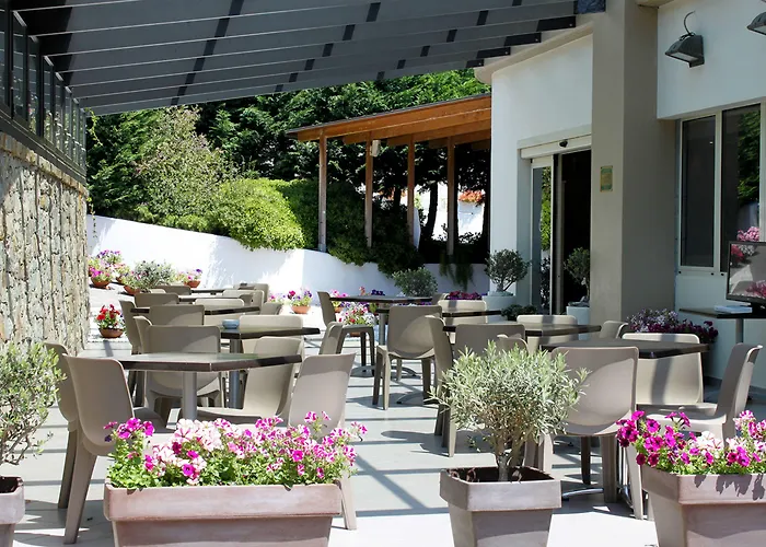 Western Anthurium 4*