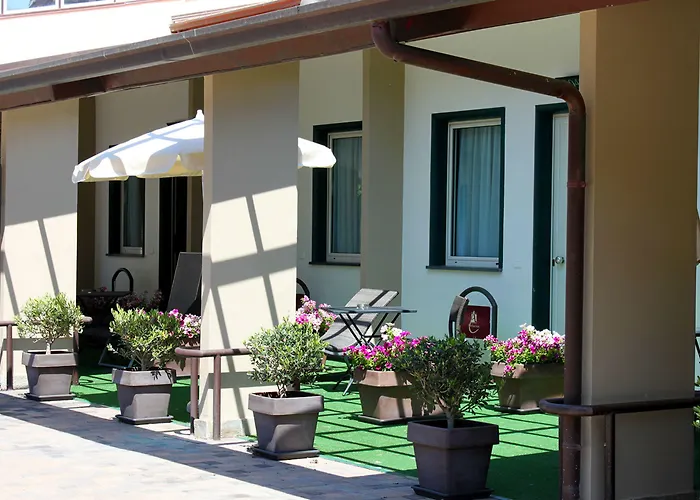 Hotel Western Anthurium