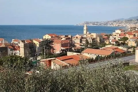 Western Anthurium Santo Stefano al Mare